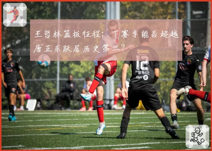 王哲林篮板征程：下赛季能否超越唐正东跃居历史第二？