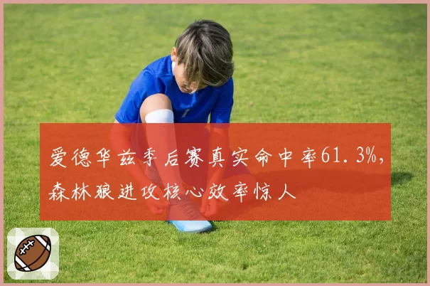 爱德华兹季后赛真实命中率61.3%，森林狼进攻核心效率惊人