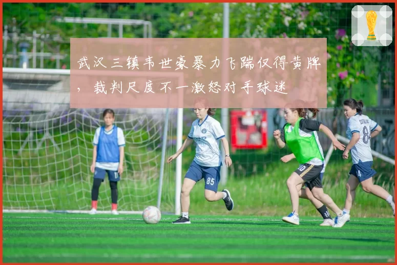 武汉三镇韦世豪暴力飞踹仅得黄牌,裁判尺度不一激怒对手球迷
