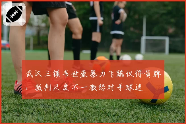 武汉三镇韦世豪暴力飞踹仅得黄牌,裁判尺度不一激怒对手球迷