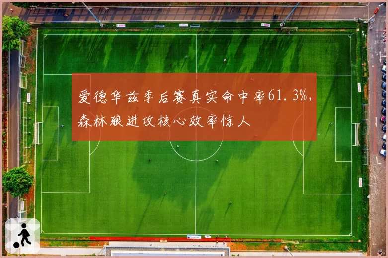 爱德华兹季后赛真实命中率61.3%,森林狼进攻核心效率惊人