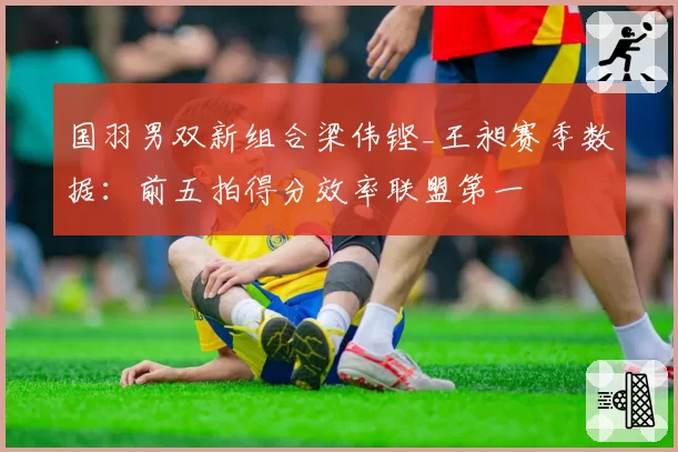 国羽男双新组合梁伟铿_王昶赛季数据：前五拍得分效率联盟第一