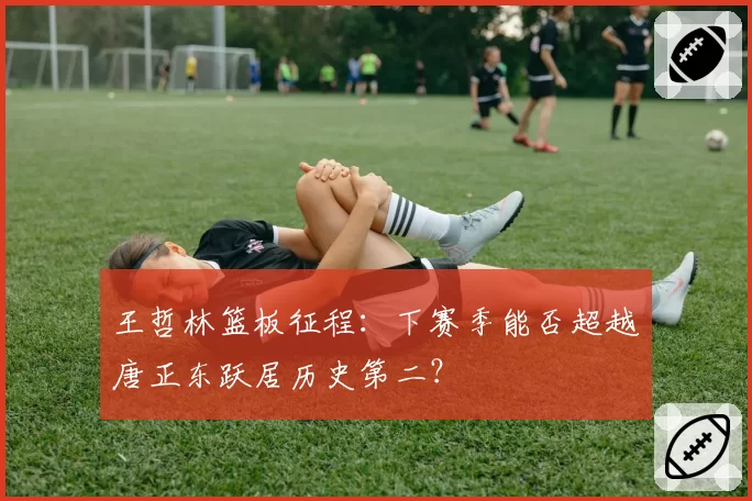 王哲林篮板征程：下赛季能否超越唐正东跃居历史第二？